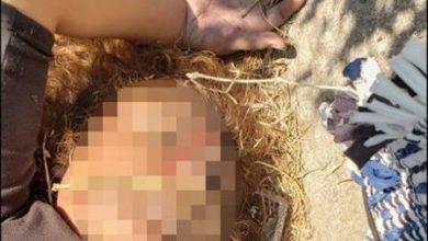 Photo of Otro Feminicidio en Zumpango: Hallan cadáver de abogada en San Juan Zitlaltepec junto a la Laguna